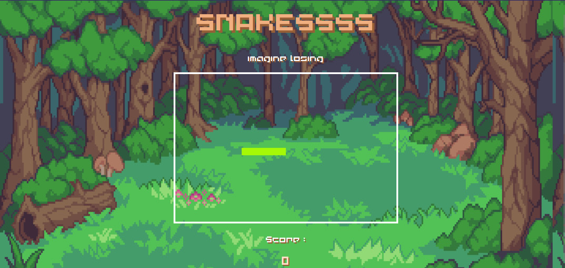 Web Project 2
